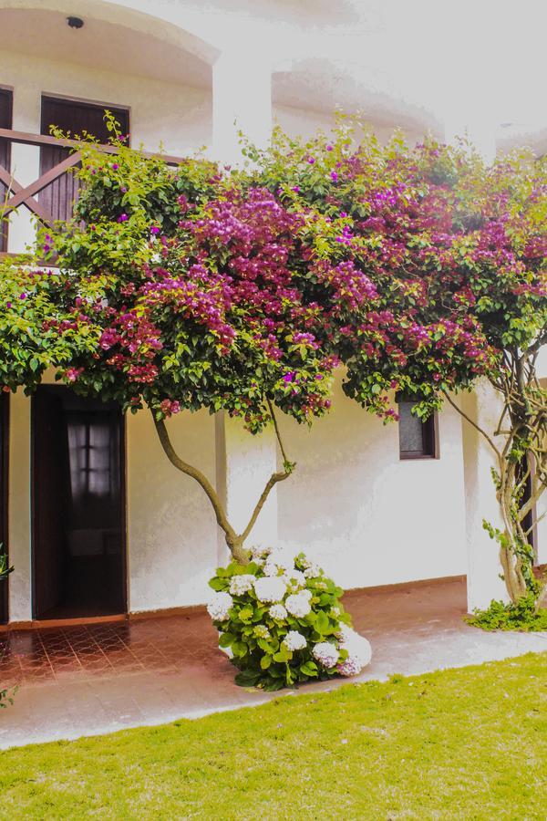 Hotel Del Diablo Punta Del Diablo Dış mekan fotoğraf